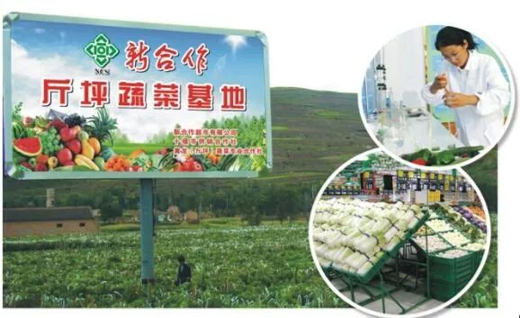 菜、带娃、看病、健身……在你家门口的“供销e家”一站搞定!