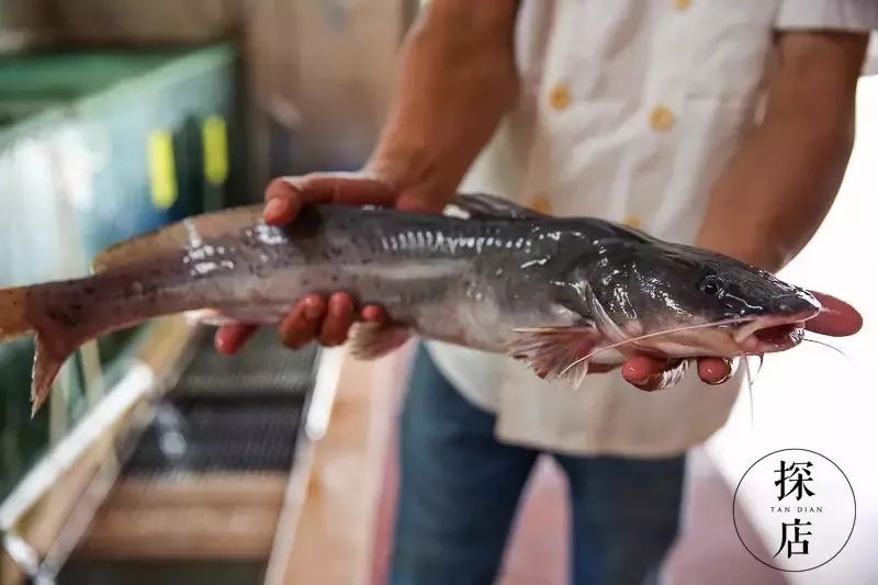 食在广东寻味顺德,食在肇庆