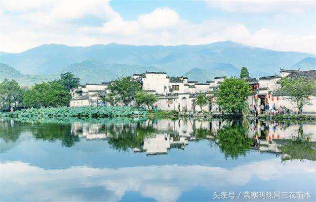 宏村古镇旅游攻略住宿,宏村婺源景德镇旅游攻略