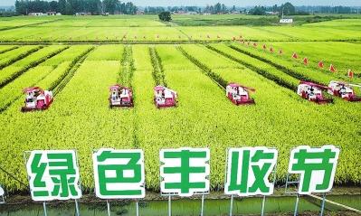 河南信阳金秋十月美景,河南光山稻谷飘香收获忙