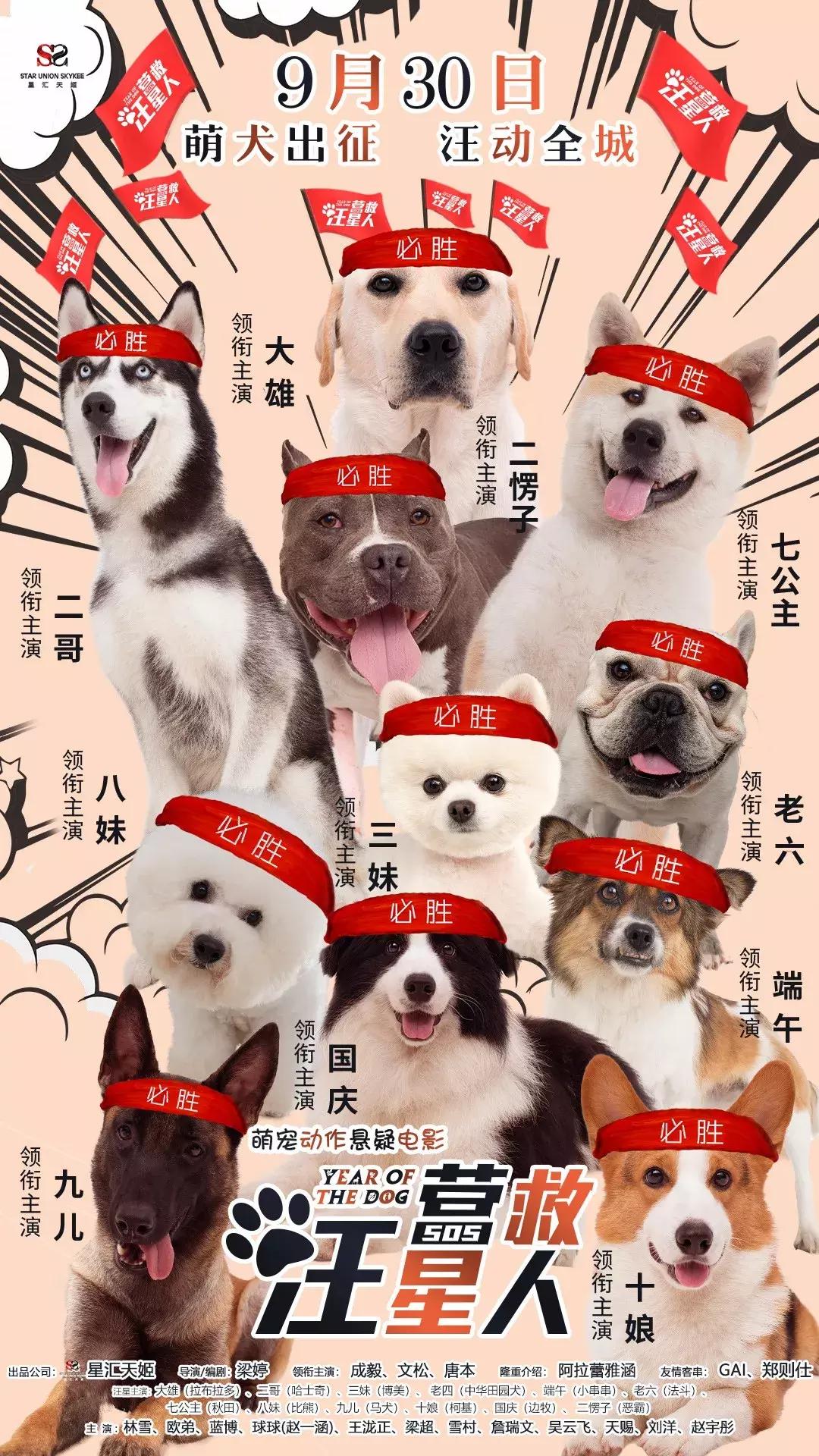 一周影讯，任你挑选