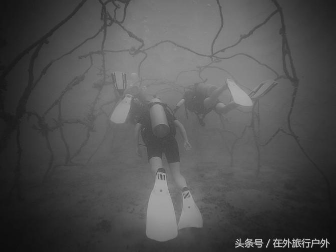 潜水入门课程有哪些,入门级潜水装备现价