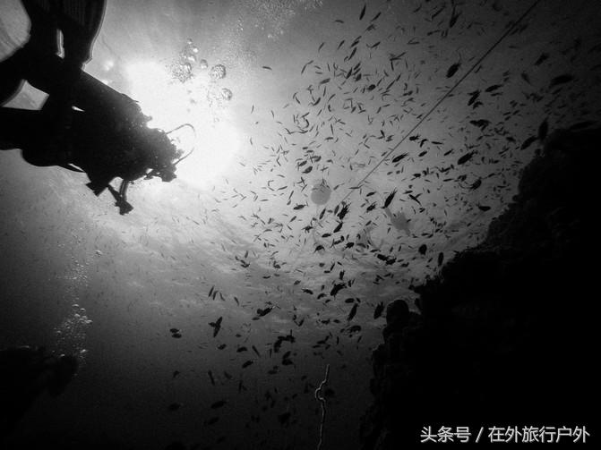 潜水入门课程有哪些,入门级潜水装备现价