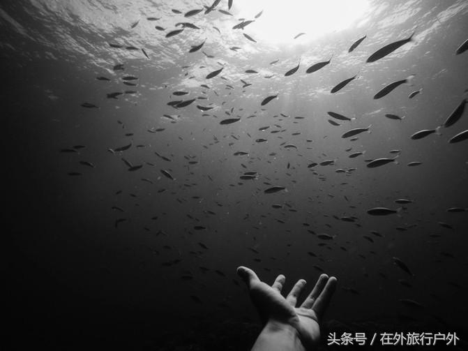 潜水入门课程有哪些,入门级潜水装备现价