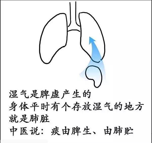 买足贴去湿气？被人骗了还不知道！揭秘养生最大谎言！
