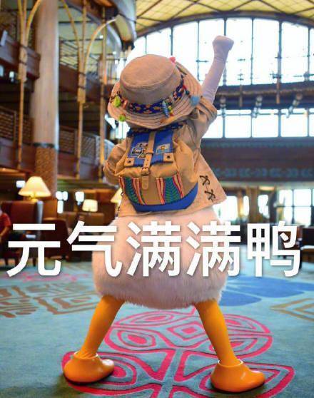 买足贴去湿气？被人骗了还不知道！揭秘养生最大谎言！