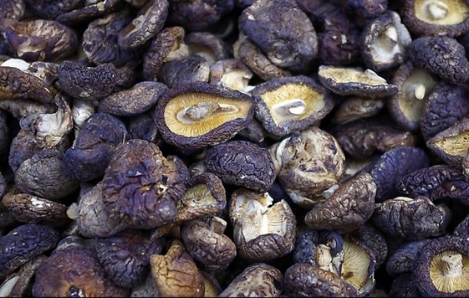 干蘑菇长白色绒毛还能吃？这些处理小妙招了解一下