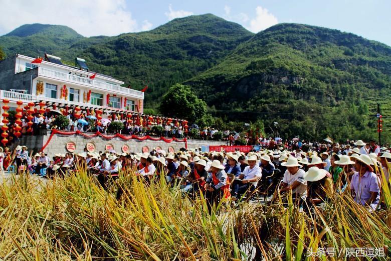 梯田叠嶂入云霄,稻谷飘香庆丰年,汉阴稻香旅游节在凤堰梯田启动