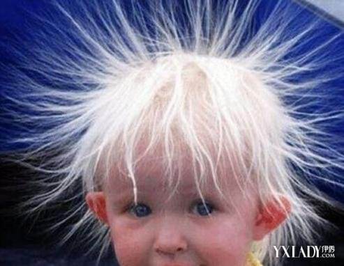 去屑止痒最好的洗发水排行榜国货,国货洗发水控油蓬松持久留香清扬