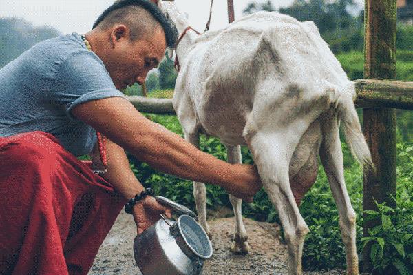 哪个星座是戏精,十足老戏骨的星座女