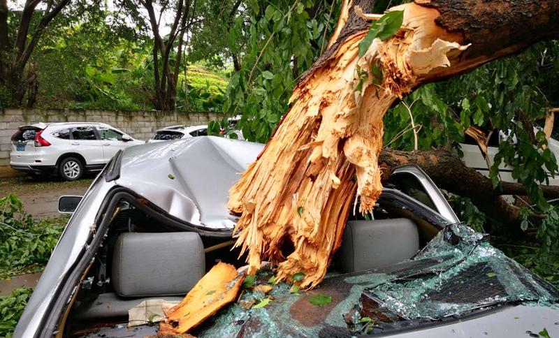 台风车险赔多少钱,台风来临前参保车险
