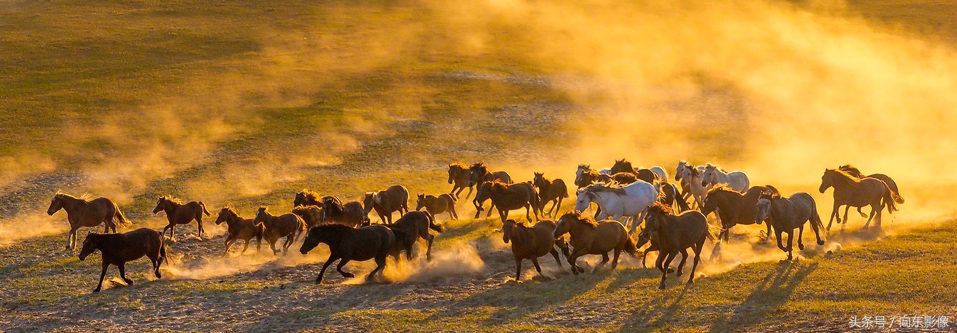 奥林巴斯配什么镜头,奥林巴斯配曲