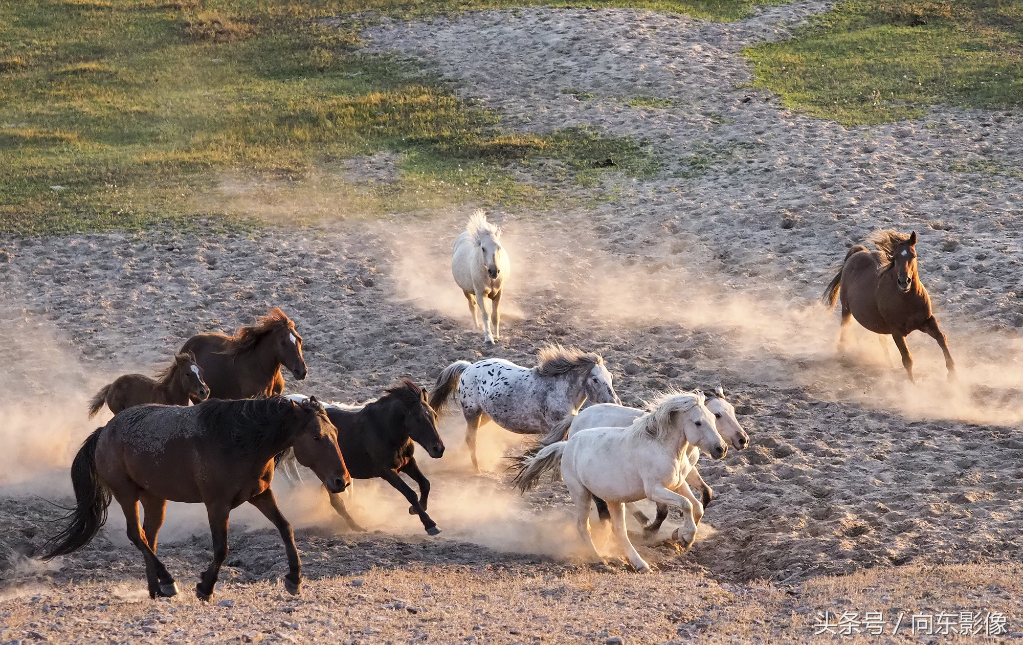 奥林巴斯配什么镜头,奥林巴斯配曲