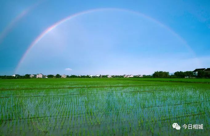 望亭，望的是哪个亭？