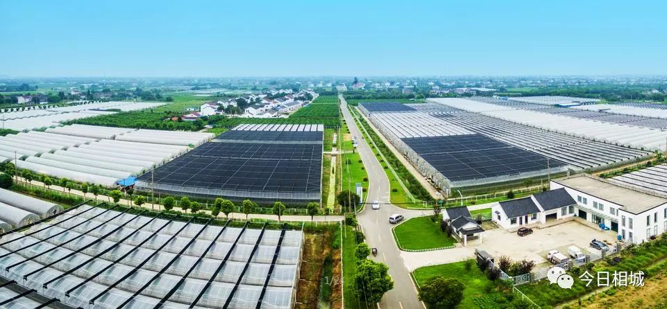 望亭，望的是哪个亭？