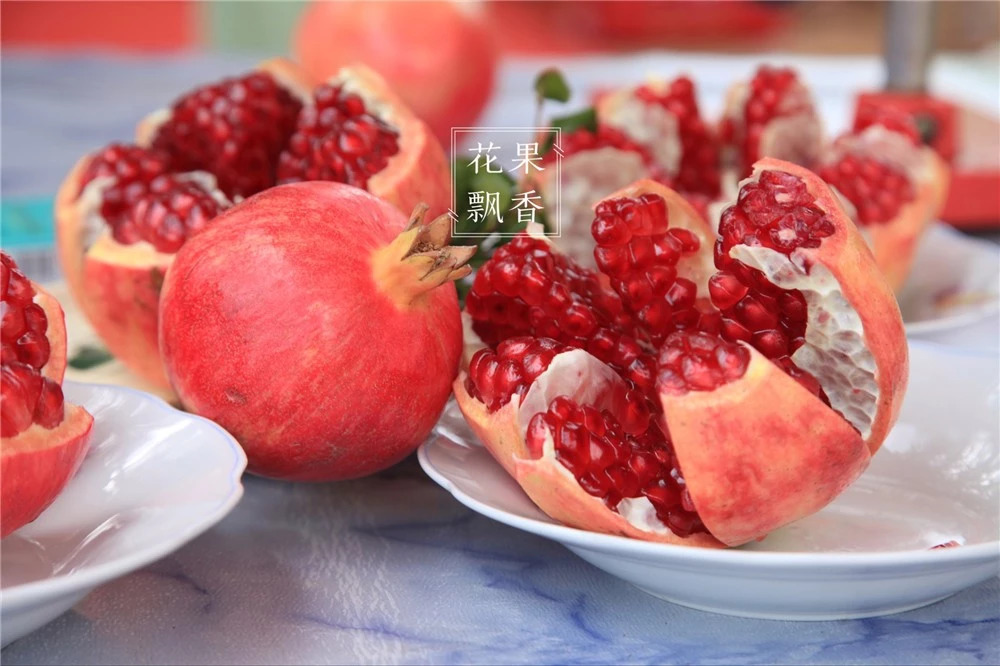 问曹老师，究竟哪些地方才适合发展软籽石榴？