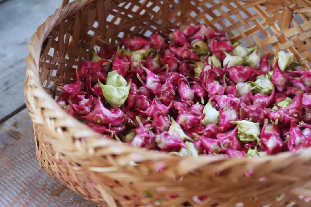 沙家浜芦苇荡游玩体验感想,沙家浜风起芦苇荡