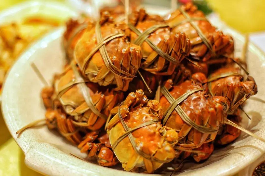 沙家浜芦苇荡游玩体验感想,沙家浜风起芦苇荡