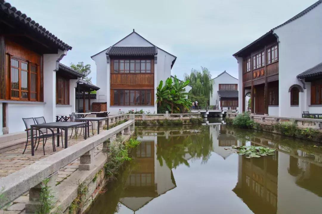 沙家浜芦苇荡游玩体验感想,沙家浜风起芦苇荡