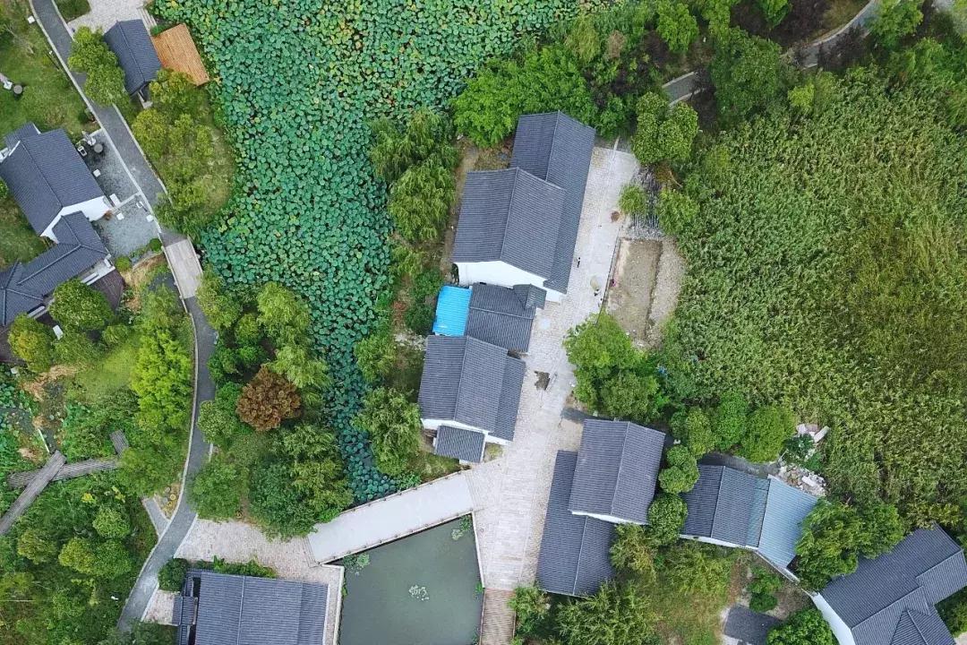 沙家浜芦苇荡游玩体验感想,沙家浜风起芦苇荡