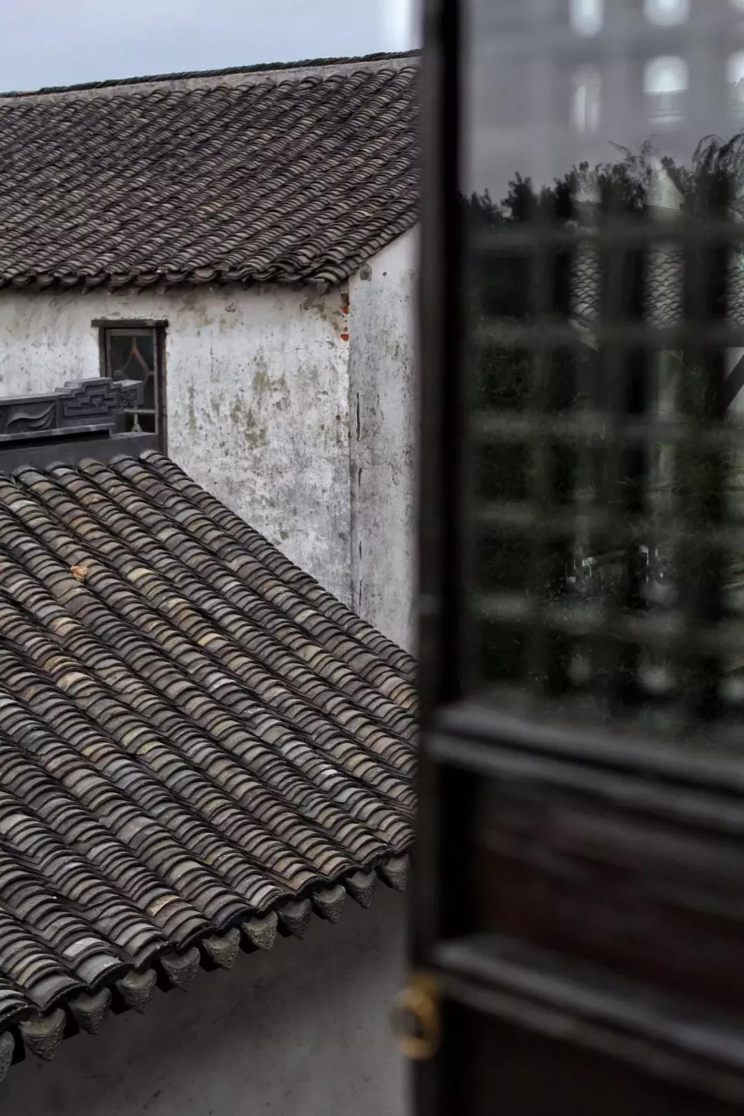 沙家浜芦苇荡游玩体验感想,沙家浜风起芦苇荡