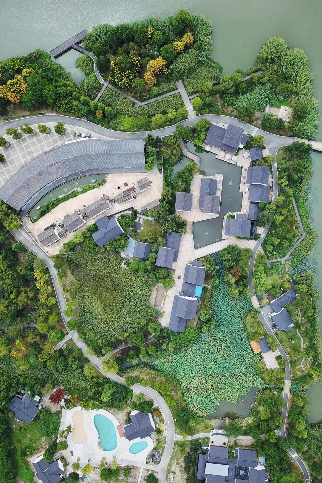 沙家浜芦苇荡游玩体验感想,沙家浜风起芦苇荡