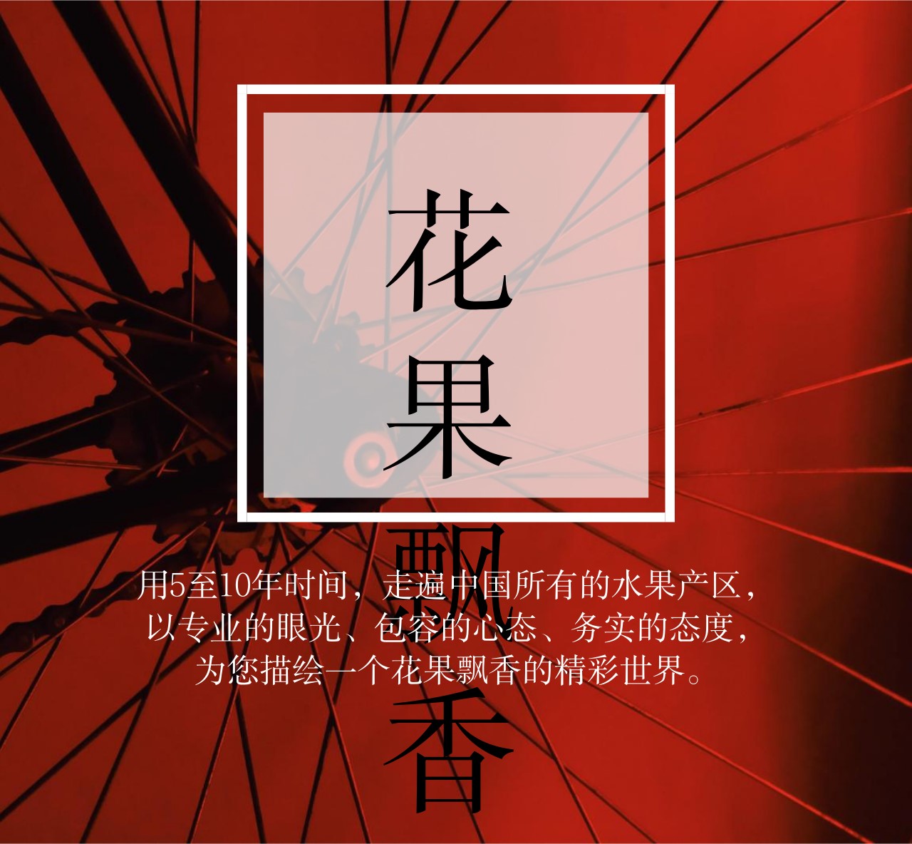 问曹老师，究竟哪些地方才适合发展软籽石榴？