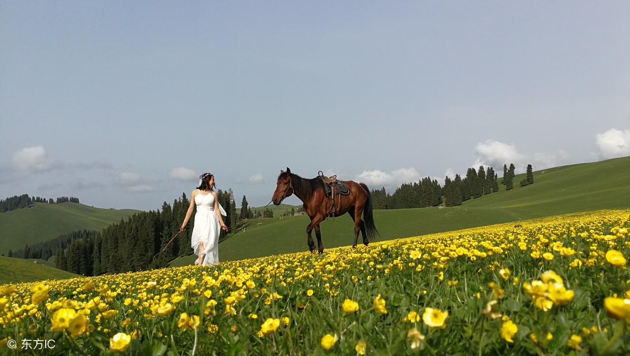 有人写作文喜欢跑题，原因何在？解决问题的最好办法是什么？