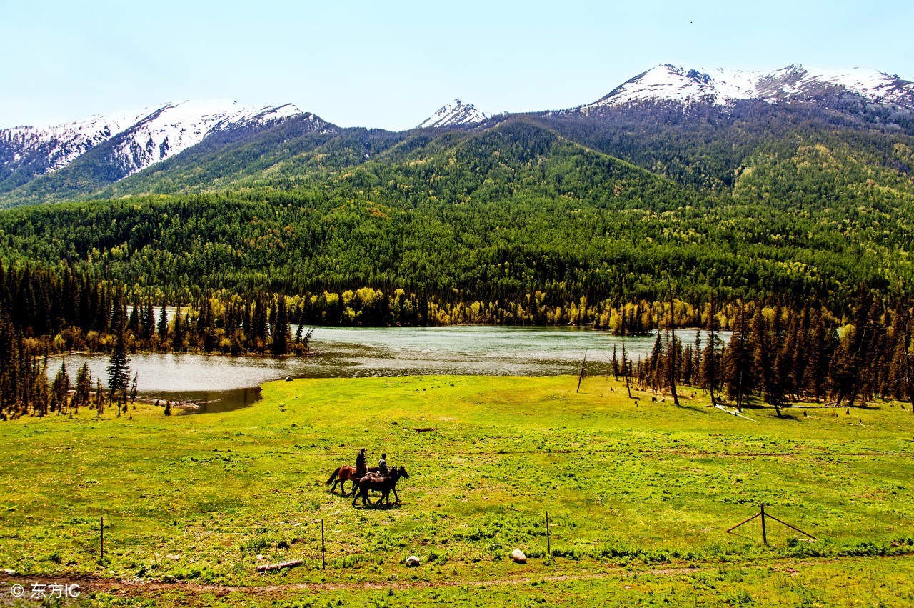 有人写作文喜欢跑题，原因何在？解决问题的最好办法是什么？