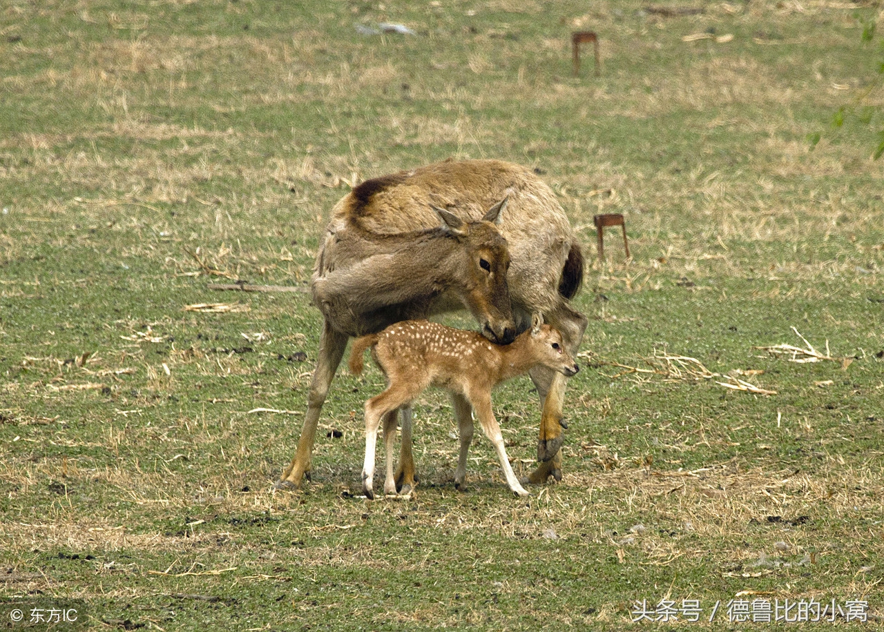 北京南苑历史,南苑历史遗迹
