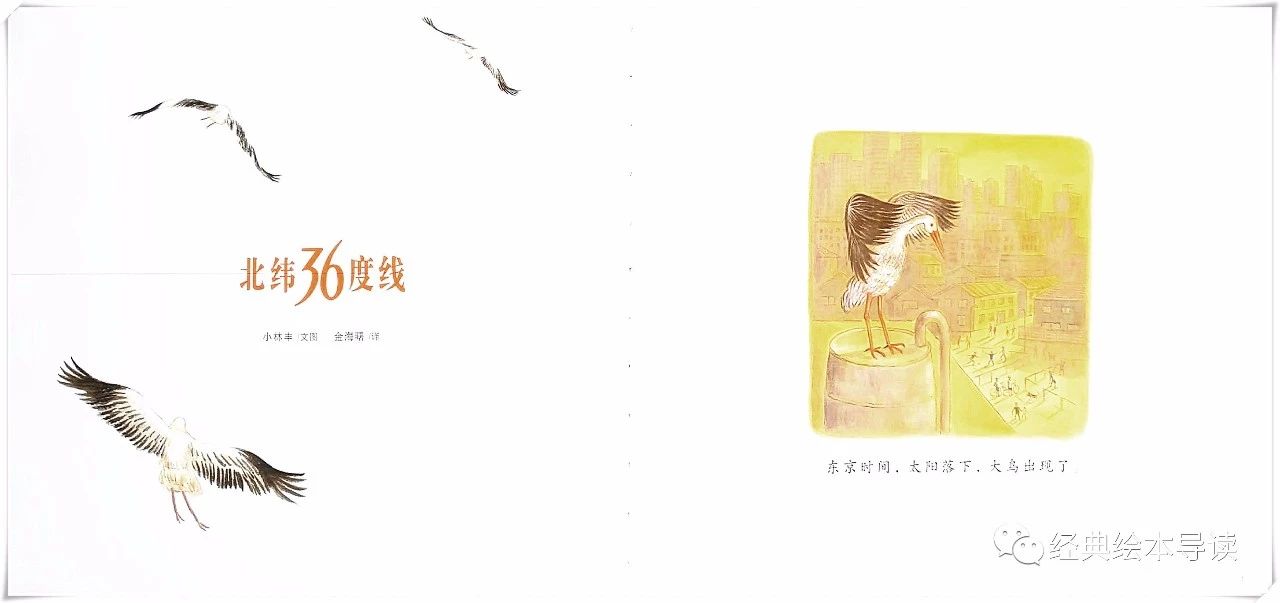 一只大鸟儿的奇妙飞行