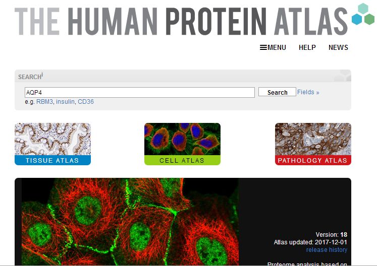 ihc免疫组化实验步骤及所需材料,免疫组化IHC实验步骤