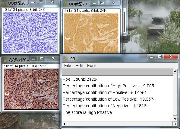 ihc免疫组化实验步骤及所需材料,免疫组化IHC实验步骤