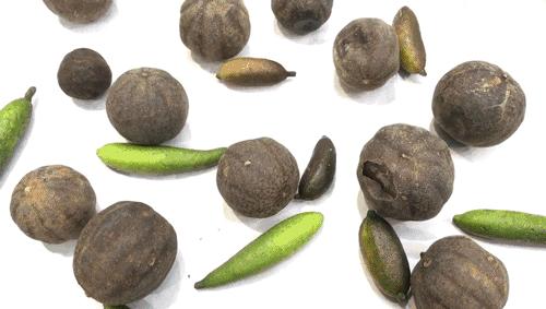 这么可爱的蛋糕里面会是什么样,这样可爱的肉松饼你吃过吗