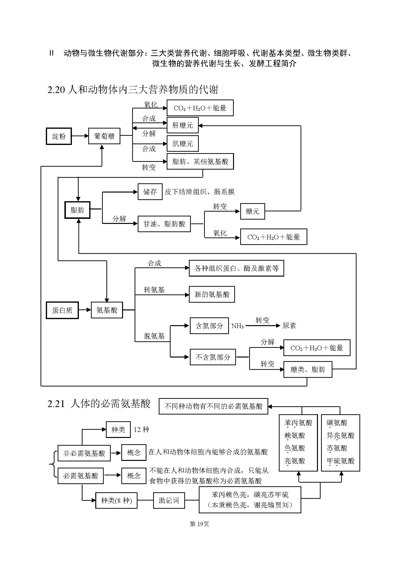 高中生物最基础的知识点,高中生物简单的知识梳理