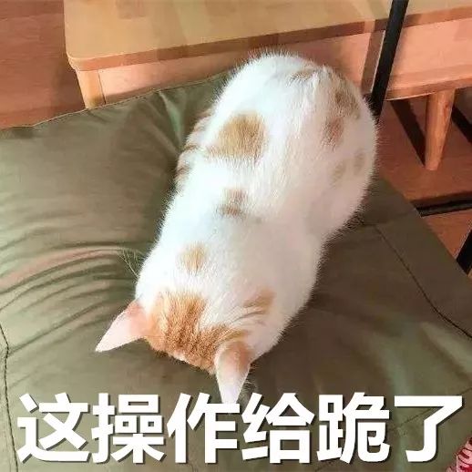 借强东大佬这档事儿,八卦下让土豪们ssfd的「仙人跳」是啥意思