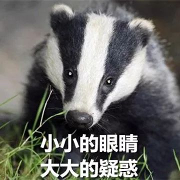 借强东大佬这档事儿,八卦下让土豪们ssfd的「仙人跳」是啥意思