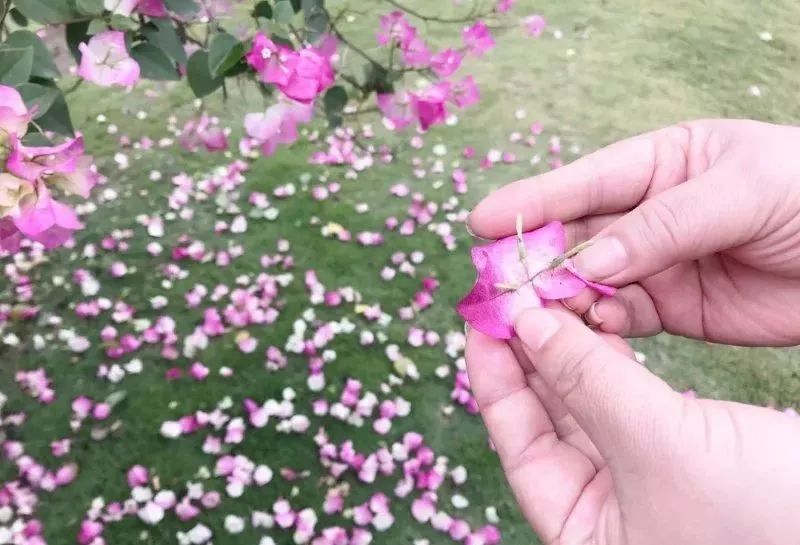 「诗词原创」西沉｜路远秋已至沧海化田桑