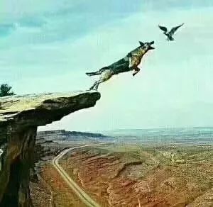 「诗词原创」西沉｜路远秋已至沧海化田桑