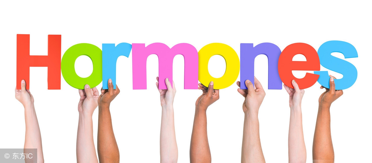 更年期吃什么补激素最有效的,更年期如何减少激素影响