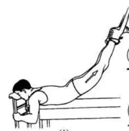 胸腰椎压缩性骨折的高级治疗,腰椎1椎体压缩性骨折康复训练