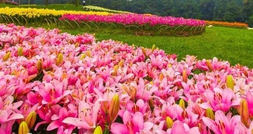 十一长假不远游兰山,十一假期不出省的山水游玩好去处