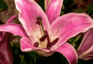 十一长假不远游兰山,十一假期不出省的山水游玩好去处