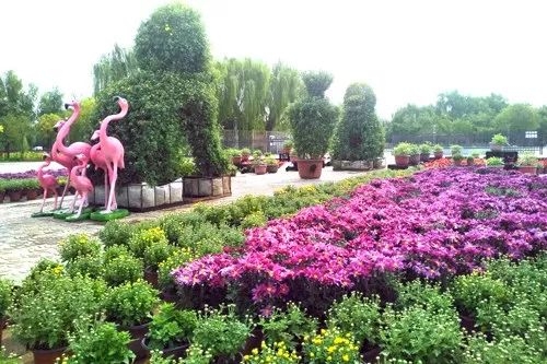 十一长假不远游兰山,十一假期不出省的山水游玩好去处