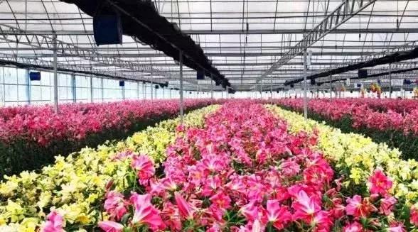 十一长假不远游兰山,十一假期不出省的山水游玩好去处