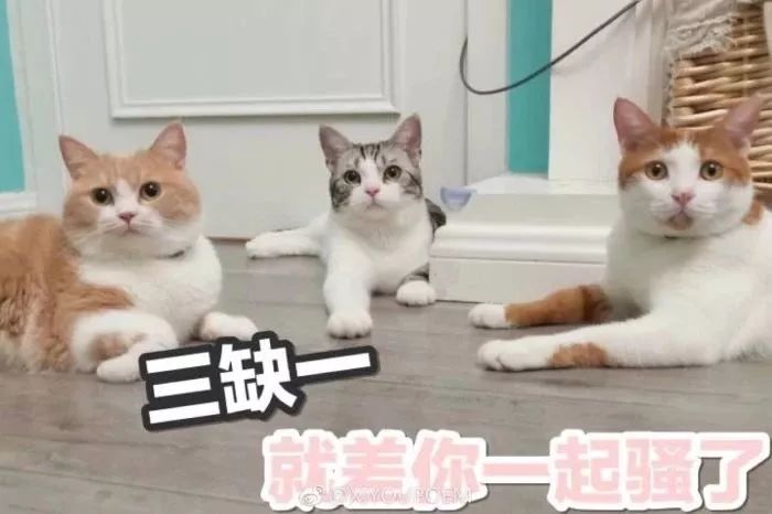 100种墨水手工制作,128色的固体水彩颜料