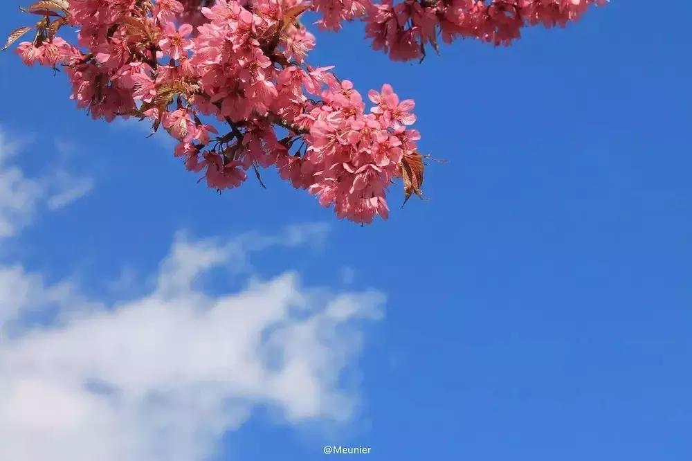 大理洱海自驾游旅游攻略最新,大理洱海自由行旅游攻略图