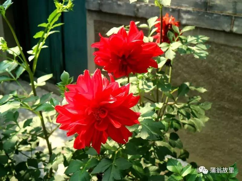 淄博市二郎山景区,淄博泉源自然风景区