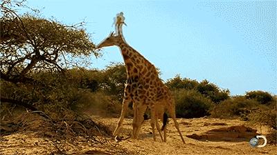 你身体里住着几个人格,你身体里住着谁