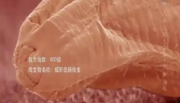 你身体里住着几个人格,你身体里住着谁